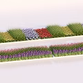 Vibrant Flower Planters With Mixed Colorful Flowers Arranged In Neat Rows