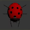Red Ladybug With Black Spots And White Eye Area On Gray Reflective Surface 3d model
