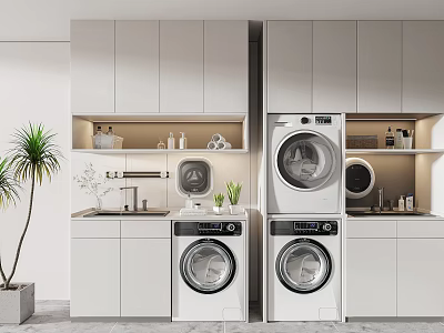 Modern Bathroom Cabinetry With Washing Machine Dryer Sink And Potted Plant 3d model