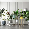 Indoor Potted Plants With Various Green Leaves Colorful Pots And Metal Stands