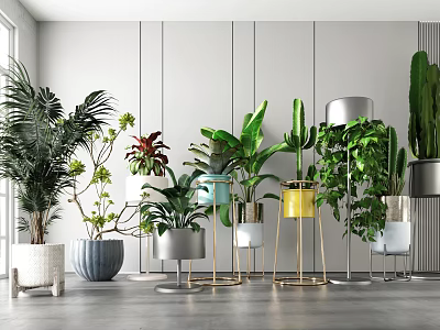Indoor Potted Plants With Various Green Leaves Colorful Pots And Metal Stands 3d model