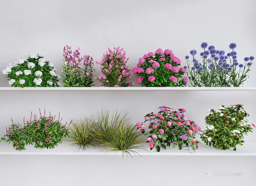 Various Colorful Flowers and Green Plants of Different Types on White Shelves 3d model 