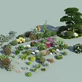 Various Types of Shrubs for Garden Landscape With Colorful Foliage and Decorative Plants