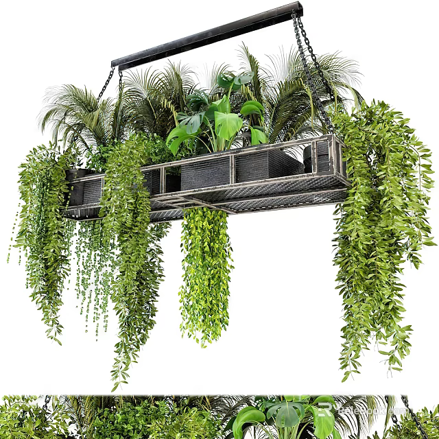 Indoor Hanging Basket With Lush Trailing Green Plants And Foliage Decor 3d model 