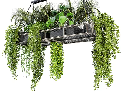 Indoor Hanging Basket With Lush Trailing Green Plants And Foliage Decor 3d model