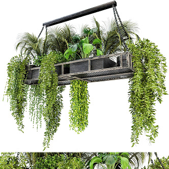 Modern Hanging Basket Green Plant Hanging Basket Potted Plant Combination Indoor Flower Stand Green Plant Stand Flowers and Plants Indoor Potted Plant Green Plant Ceiling Decoration 3d model