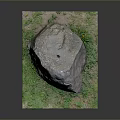 Large Natural Rock Placed On Green Grass Surface With Small Flowers