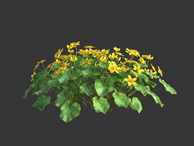 Vibrant Yellow Flowers With Lush Green Leaves In Natural Blooming Plant Cluster 3d model