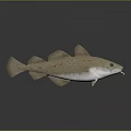 3D Modeled Fish With Light Brown Body White Underbelly Fins Eyes Whiskers Gray Background Reflection