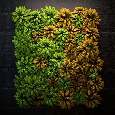 Vibrant Vertical Living Plant Wall With Green And Yellow Foliage For Indoor Decorative Design 3d model