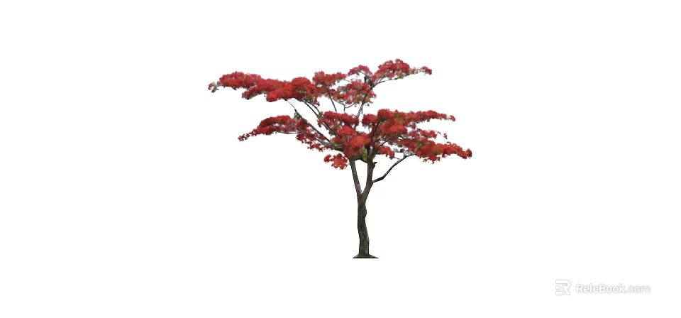 Lush Arbor With Vibrant Red Leaves Slender Trunk And Spreading Branches 3d model 