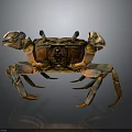 Crab With Detailed Orange Brown Shell Large Claws On Dark Surface