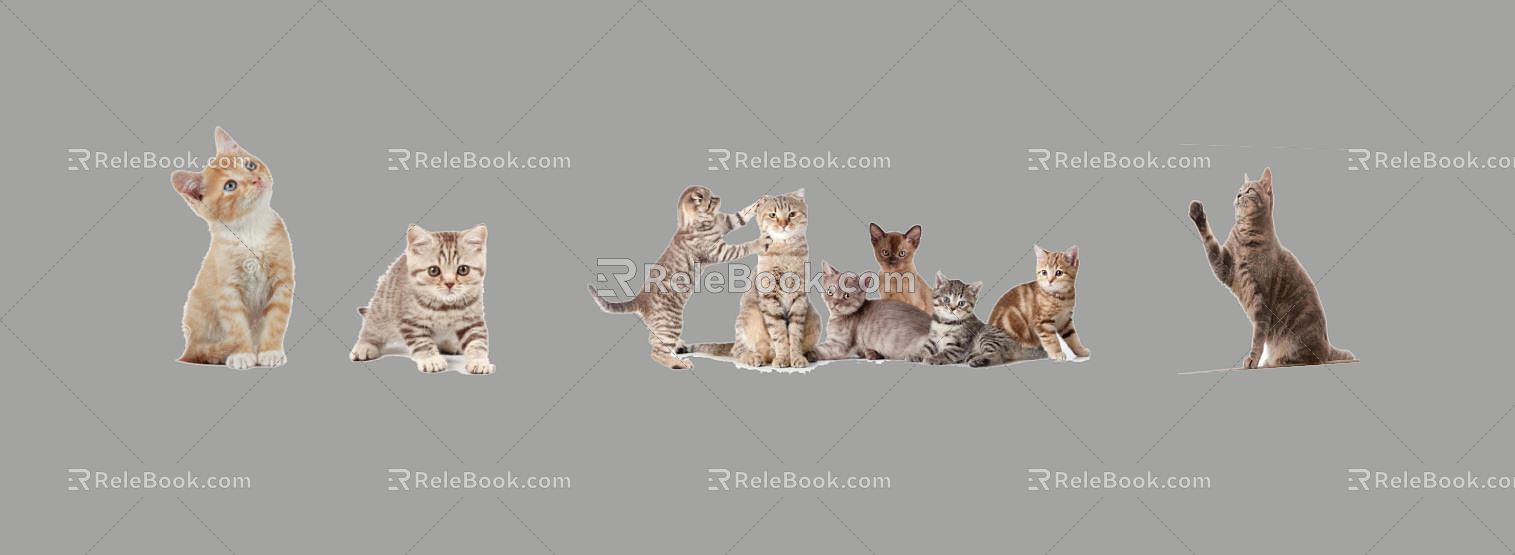 Modern Cat Pet Cat Kitten 3d model