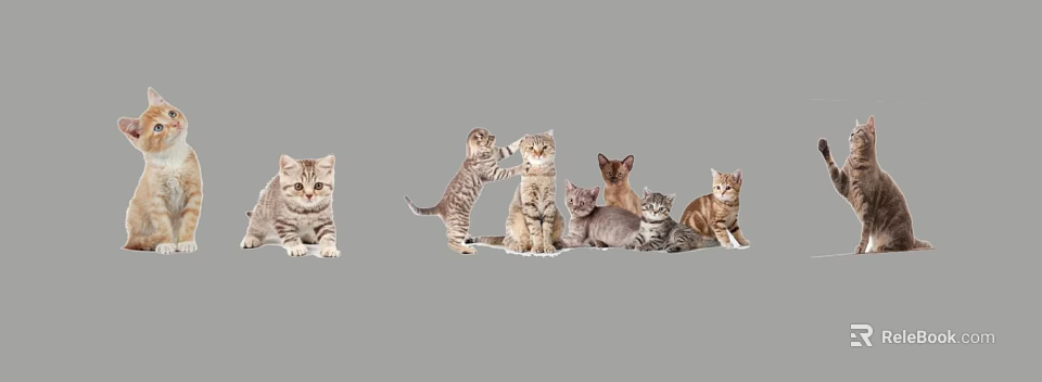 Various Reptile Species Such As Lizards Snakes And Tortoises Basking In Sunlight 3d model 