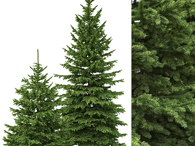 Decorative Ornament Set Featuring Green Pine Trees With Detailed Branches For Home Decor 3d model