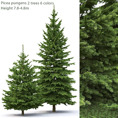 Decorative Ornament Set Featuring Green Pine Trees With Detailed Branches For Home Decor 3d model