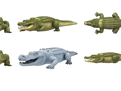 Aquatic Animal Crocodile Various Poses 3D Models Wireframe And Realistic Designs 3d model Aquatic Animal Crocodile Various Poses 3D Models Wireframe And Realistic Designs 3d model