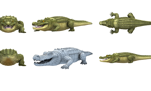 Modern Crocodile 3d model