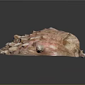 Pink and White Shellfish with Bumpy Protruding Surface and Irregular Shape on Dark Background