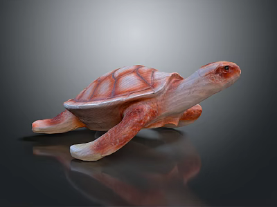 Red And White Textured Sea Turtle 3D Model On Dark Reflective Background 3d model