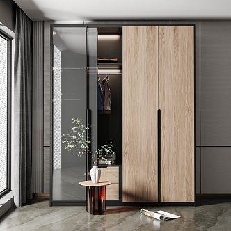 Modern wardrobe 3d model