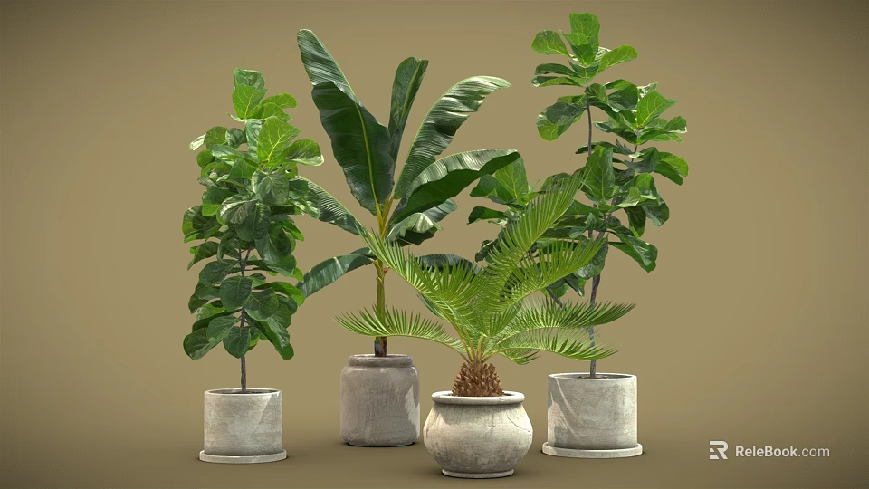 Various Types of Potted Plants with Green Leaves in Stone Pots for Indoor Decoration 3d model 