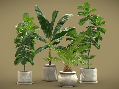 Various Types of Potted Plants with Green Leaves in Stone Pots for Indoor Decoration 3d model