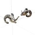 Vintage Decorative Ram Skulls With Natural Curved Horns On White Background