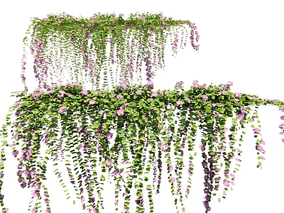 Hanging Lush Vines With Dense Green Leaves And Delicate Purple Flowers 3d model