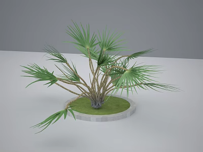 Potted Plant Featuring Green Leaves Brown Trunks in Round Pot with Green Grass Gray Background 3d model
