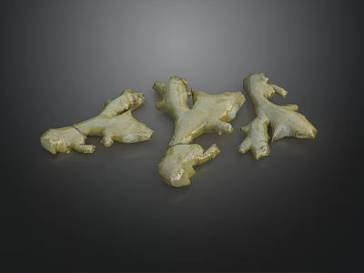 Natural Flower Plant Roots Featuring Light Yellow Hues And Irregular Textures Against Dark Backdrop 3d model