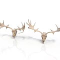 Two Decorative Deer Skull Mounts With Large Antlers On White Background 3d model