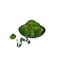 Fresh Green Guavas in Bowl with Leaves and Sliced on Dark Background