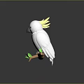 White Cockatoo With Yellow Crest Perched On Tree Branch With Green Leaves And Dark Background