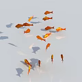 Group of Orange Fish Swimming in Water with Reflections and Shadows