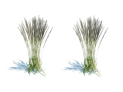 Two Clusters Of Green Grasses With Dark Spiky Tops And Blue Base Accents 3d model