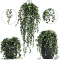 Lush Green Hanging Basket Plants with Cascading Vines for Home Decor