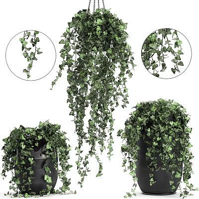 Lush Green Hanging Basket Plants with Cascading Vines for Home Decor 3d model