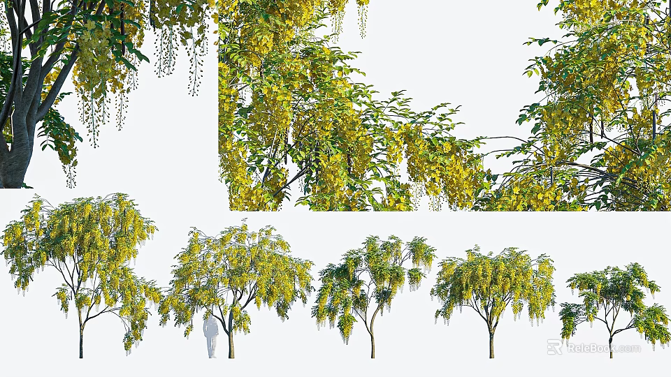 Yellow Weeping Trees With Drooping Branches And Lush Foliage In Garden 3d model 