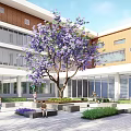 Modern School Building With Green Roof And Sports Field In Tree Surrounded Campus