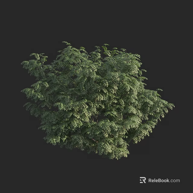 Lush Green Arbor With Dense Foliage And Vibrant Canopy Structure 3d model