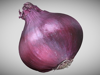 Onion Red Onion Vegetable Scan Onion Scan Vegetable 3d model