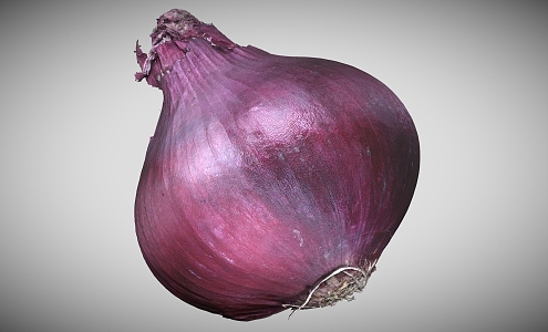 Onion Red Onion Vegetable Scan Onion Scan Vegetable 3d model