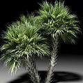 Two Palm Trees With Lush Green Fronds And Textured Trunks Against Neutral Background