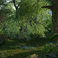 Enchanted Forest With Lush Trees Colorful Flowers Green Vegetation And Sunlight Filtering Through Tree Trunks