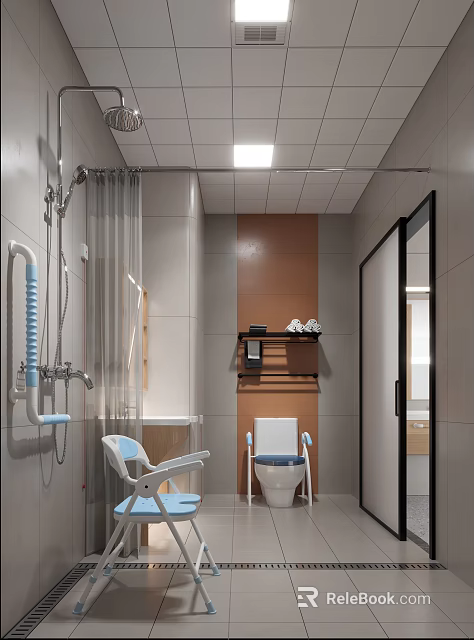 Modern Bathroom With Shower Area Grab Bars Commode Chair Toilet And Wall Mounted Shelf 3d model 