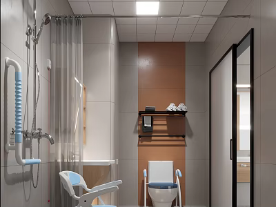 Modern Bathroom With Shower Area Grab Bars Commode Chair Toilet And Wall Mounted Shelf 3d model
