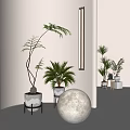 Indoor Fern And Palm Potted Plants In White Textured Pots For Minimalist Home Decor