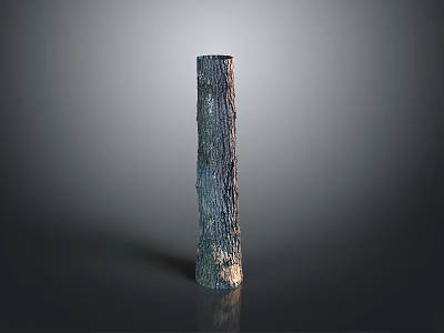 Tall Textured Plant Trunk With Natural Wood Grain On Dark Background 3d model