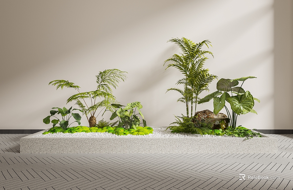 Lush Indoor Landscape Featuring Fern Palm And Monstera Plants With Green Moss And Pebbles 3d model 